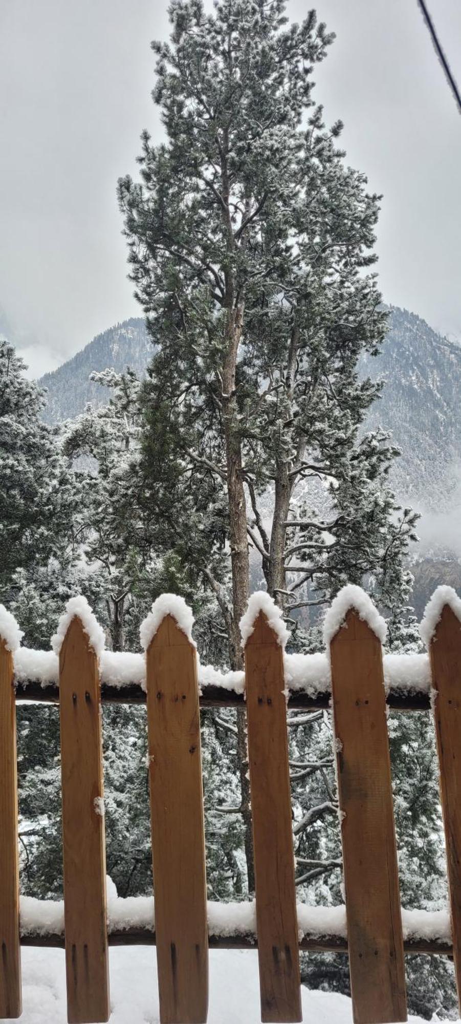 Rudra Homestays Kalpa Exterior photo